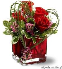images 233