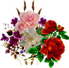images2