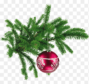 boze narodzenie 2024